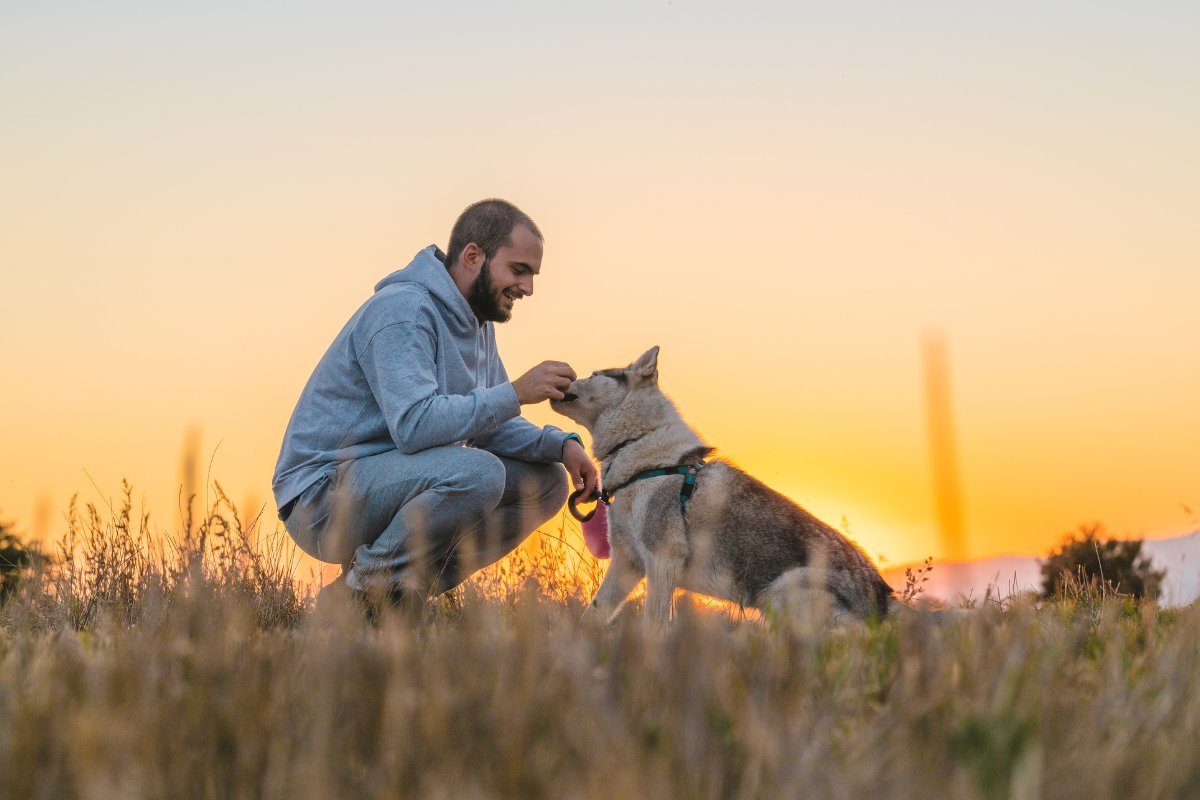 Pet dad helps his dog adjust to his new home.