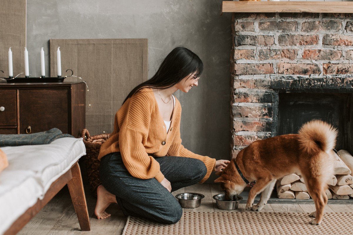 A woman feeds her new dog.